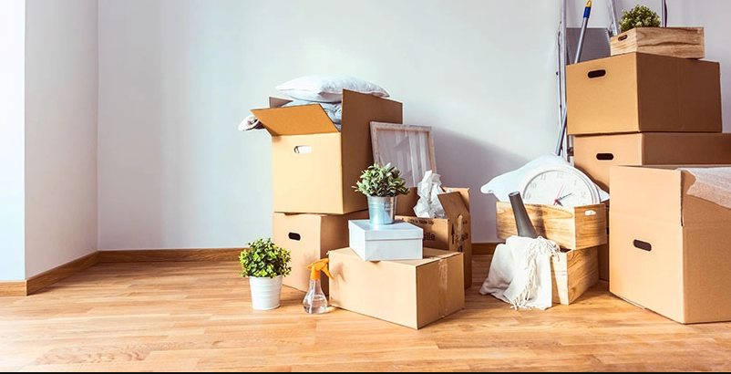 Moving to a New Home in Germany: Everything You Need to Know